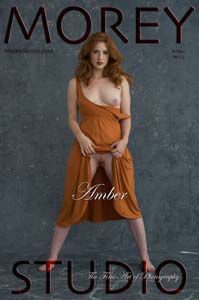 153Amber8310Cover-C5