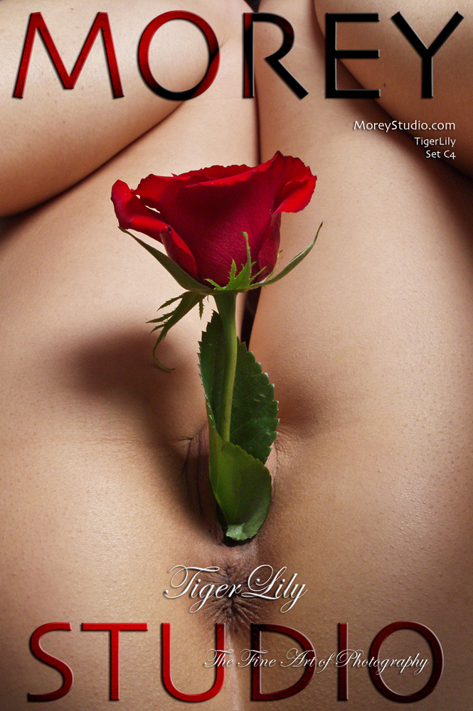 005Morey-TigerLilyP2#60005